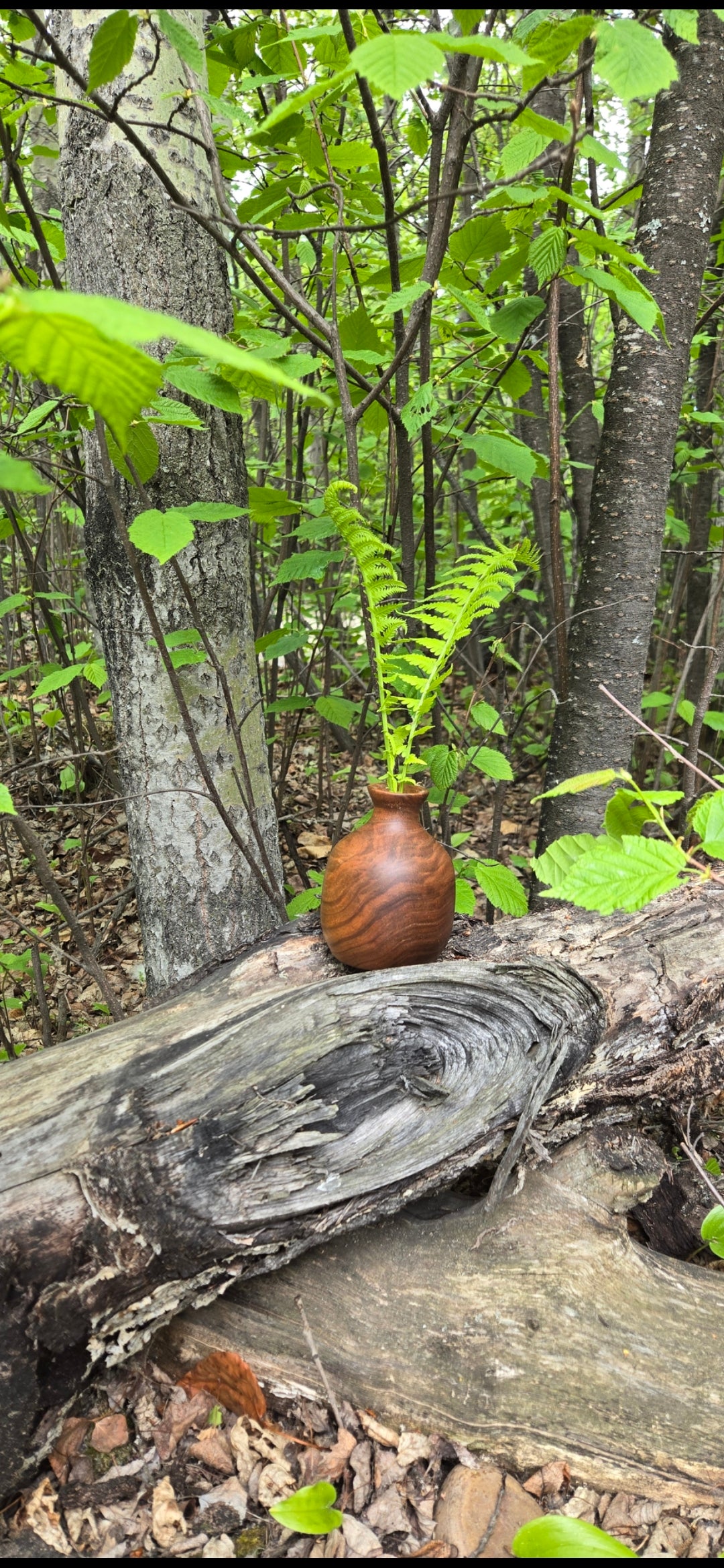 Hand Turned Walnut Bud Vase | For Dry or Fake Flowers