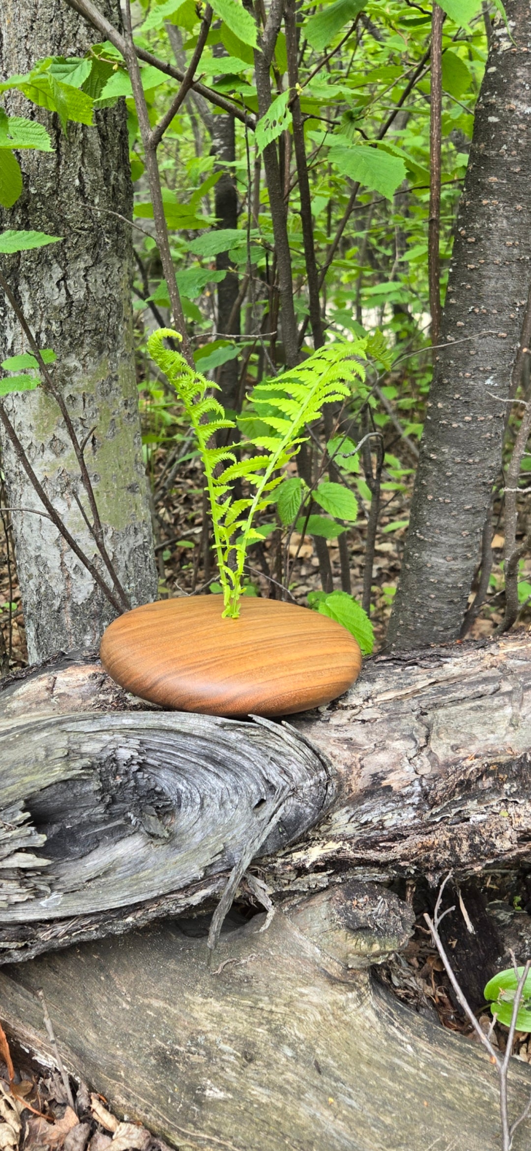 Riverstone Vase in Walnut
