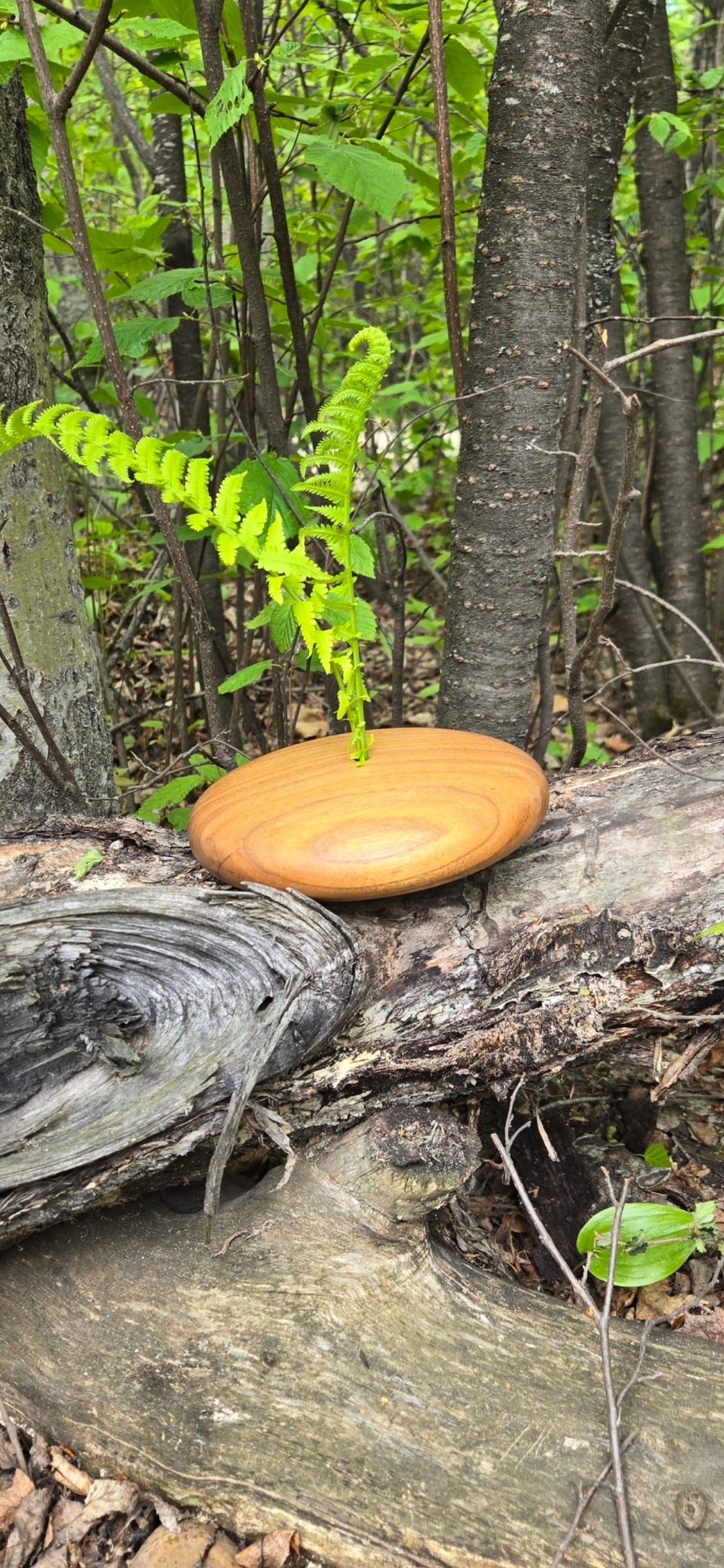 Riverstone Vase in Walnut